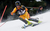 Paul Stutz (CAN) attacks a control gate while competing in the mens Hahnenkamm slalom race part of the  70th Hahnenkamm Rennen race weekend, which is a fixture on the 2009/10 Audi FIS Alpine Skiing World Cup. Slalom race of men Audi FIS Alpine skiing World cup was held in Kitzbuhel, Austria, on 24th of January 2010.
