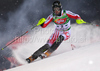 Second after first run Reinfried Herbst of Austria skiing in first run of Men Night slalom race of Audi FIS alpine skiing World Cup in Schladming, Austria. Slalom race of Men Audi FIS Alpine skiing World Cup 2009-10 was held in Schladming, Austria, on 26th of January 2010.
