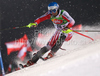 Tenth after first run Wolfgang Hoerl of Austria skiing in first run of Men Night slalom race of Audi FIS alpine skiing World Cup in Schladming, Austria. Slalom race of Men Audi FIS Alpine skiing World Cup 2009-10 was held in Schladming, Austria, on 26th of January 2010.
