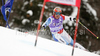 Didier Cuche of Switzerland skiing in first run of Men giant slalom race of Audi FIS alpine skiing World Cup in Kranjska Gora, Slovenia. Giant slalom race of Men Audi FIS Alpine skiing World Cup 2009-10, which substituted canceled giant slalom race from Adelboden, Switzerland, was held on Friday in Kranjska Gora, Slovenia, on 29th of January 2010.

