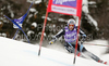 Leader after first run Aksel Lund Svindal of Norway skiing in first run of Men giant slalom race of Audi FIS alpine skiing World Cup in Kranjska Gora, Slovenia. Giant slalom race of Men Audi FIS Alpine skiing World Cup 2009-10, which substituted canceled giant slalom race from Adelboden, Switzerland, was held on Friday in Kranjska Gora, Slovenia, on 29th of January 2010.
