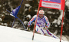 Gauthier De Tessieres of France skiing in first run of Men giant slalom race of Audi FIS alpine skiing World Cup in Kranjska Gora, Slovenia. Giant slalom race of Men Audi FIS Alpine skiing World Cup 2009-10, which substituted canceled giant slalom race from Adelboden, Switzerland, was held on Friday in Kranjska Gora, Slovenia, on 29th of January 2010.
