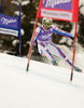 Steve Missillier of France skiing in first run of Men giant slalom race of Audi FIS alpine skiing World Cup in Kranjska Gora, Slovenia. Giant slalom race of Men Audi FIS Alpine skiing World Cup 2009-10, which substituted canceled giant slalom race from Adelboden, Switzerland, was held on Friday in Kranjska Gora, Slovenia, on 29th of January 2010.

