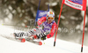 Felix Neureuther of Germany skiing in first run of Men giant slalom race of Audi FIS alpine skiing World Cup in Kranjska Gora, Slovenia. Giant slalom race of Men Audi FIS Alpine skiing World Cup 2009-10, which substituted canceled giant slalom race from Adelboden, Switzerland, was held on Friday in Kranjska Gora, Slovenia, on 29th of January 2010.
