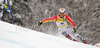Felix Neureuther of Germany skiing in first run of second Men giant slalom race of Audi FIS alpine skiing World Cup in Kranjska Gora, Slovenia. Second giant slalom race of Men Audi FIS Alpine skiing World Cup 2009-10, was held on Saturday in Kranjska Gora, Slovenia, on 30th of January 2010.
