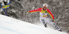 Fritz Dopfer of Germany skiing in first run of second Men giant slalom race of Audi FIS alpine skiing World Cup in Kranjska Gora, Slovenia. Second giant slalom race of Men Audi FIS Alpine skiing World Cup 2009-10, was held on Saturday in Kranjska Gora, Slovenia, on 30th of January 2010.

