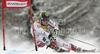 Winner Marcel Hirscher of Austria skiing in second run of second Men giant slalom race of Audi FIS alpine skiing World Cup in Kranjska Gora, Slovenia. Second giant slalom race of Men Audi FIS Alpine skiing World Cup 2009-10, was held on Saturday in Kranjska Gora, Slovenia, on 30th of January 2010.
