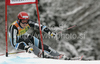 Second placed Kjetil Jansrud of Norway skiing in second run of second Men giant slalom race of Audi FIS alpine skiing World Cup in Kranjska Gora, Slovenia. Second giant slalom race of Men Audi FIS Alpine skiing World Cup 2009-10, was held on Saturday in Kranjska Gora, Slovenia, on 30th of January 2010.
