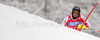Second after first run Reinfried Herbst of Austria skiing in first run of Men slalom race of Audi FIS alpine skiing World Cup in Kranjska Gora, Slovenia. Slalom race of Men Audi FIS Alpine skiing World Cup 2009-10, was held on Sunday in Kranjska Gora, Slovenia, on 31st of January 2010.
