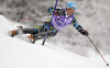 Lars Elton Myhre of Norway skiing in first run of Men slalom race of Audi FIS alpine skiing World Cup in Kranjska Gora, Slovenia. Slalom race of Men Audi FIS Alpine skiing World Cup 2009-10, was held on Sunday in Kranjska Gora, Slovenia, on 31st of January 2010.
