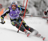 Aksel Lund Svindal of Norway skiing in first run of Men slalom race of Audi FIS alpine skiing World Cup in Kranjska Gora, Slovenia. Slalom race of Men Audi FIS Alpine skiing World Cup 2009-10, was held on Sunday in Kranjska Gora, Slovenia, on 31st of January 2010.
