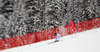 Johan Clarey of France skiing in last Men downhill race of Audi FIS alpine skiing World Cup, which was held on Kandahar downhill course in Garmisch-Partenkirchen, Germany. Last downhill race of Men Audi FIS Alpine skiing World Cup 2009-10, was held on Wednesday, 10th of March 2010 in Garmisch-Partenkirchen, Germany.
