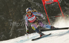 Winner Lindsey Vonn of USA skiing in last Women super-g race of Audi FIS alpine skiing World Cup, which was held on Kandahar course in Garmisch-Partenkirchen, Germany. Last Super-g race of Women Audi FIS Alpine skiing World Cup 2009-10, was held on Friday, 12th of March 2010 in Garmisch-Partenkirchen, Germany.
