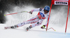 Fourth placed Benjamin Raich of Austria skiing in Men Super-G race of Audi FIS alpine skiing World Cup in Val Gardena, Italy. Super-G race of Men Audi FIS Alpine skiing World Cup 2010-11, was held on Friday, 17th of December 2010, on Saslong course in Val Gardena, Italy.

