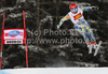 Rok Perko of Slovenia skiing in Men downhill race of Audi FIS alpine skiing World Cup in Val Gardena, Italy. Downhill race of Men Audi FIS Alpine skiing World Cup 2010-11, was held on Saturday, 18th of December 2010, on Saslong course in Val Gardena, Italy.
