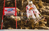 Second placed Romed Baumann of Austria skiing in Men downhill race of Audi FIS alpine skiing World Cup in Val Gardena, Italy. Downhill race of Men Audi FIS Alpine skiing World Cup 2010-11, was held on Saturday, 18th of December 2010, on Saslong course in Val Gardena, Italy.
