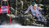 Yannick Bertrand of France skiing in Men downhill race of Audi FIS alpine skiing World Cup in Val Gardena, Italy. Downhill race of Men Audi FIS Alpine skiing World Cup 2010-11, was held on Saturday, 18th of December 2010, on Saslong course in Val Gardena, Italy.
