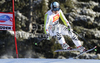 Andreas Sander of Germany skiing in Men downhill race of Audi FIS alpine skiing World Cup in Val Gardena, Italy. Downhill race of Men Audi FIS Alpine skiing World Cup 2010-11, was held on Saturday, 18th of December 2010, on Saslong course in Val Gardena, Italy.
