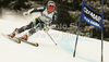 Leif Kristian Haugen of Norway skiing in first run of Men giant slalom race of Audi FIS alpine skiing World Cup in Alta Badia, Italy. Giant slalom race of Men Audi FIS Alpine skiing World Cup 2010-11, was held on Sunday, 20th of December 2010, on Gran Risa course in Alta Badia, Italy.
