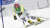 Kathrin Hoelzl of Germany skiing in first run of Women giant slalom race of Audi FIS alpine skiing World Cup in Semmering, Austria. Giant slalom race of Women Audi FIS Alpine skiing World Cup 2010-11, was held on Tuesday, 28th of December 2010, in Semmering, Austria.
