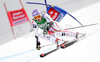 Michaela Kirchgasser of Austria skiing in first run of Women giant slalom race of Audi FIS alpine skiing World Cup in Semmering, Austria. Giant slalom race of Women Audi FIS Alpine skiing World Cup 2010-11, was held on Tuesday, 28th of December 2010, in Semmering, Austria.
