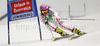 Marion Bertrand of France skiing in first run of Women giant slalom race of Audi FIS alpine skiing World Cup in Semmering, Austria. Giant slalom race of Women Audi FIS Alpine skiing World Cup 2010-11, was held on Tuesday, 28th of December 2010, in Semmering, Austria.
