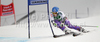 Veronika Zuzulova of Slovakia skiing in first run of Women giant slalom race of Audi FIS alpine skiing World Cup in Semmering, Austria. Giant slalom race of Women Audi FIS Alpine skiing World Cup 2010-11, was held on Tuesday, 28th of December 2010, in Semmering, Austria.
