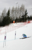 Jessica Lindell-Vikarby of Sweden skiing in first run of Women giant slalom race of Audi FIS alpine skiing World Cup in Semmering, Austria. Giant slalom race of Women Audi FIS Alpine skiing World Cup 2010-11, was held on Tuesday, 28th of December 2010, in Semmering, Austria.
