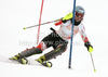 Sanni Leinonen of Finland skiing during training session which was held in Tarvisio, Italy, on Sunday, 2nd of January 2011.
