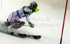 Kathrin Zettel of Austria skiing in first run of Women slalom race of Audi FIS alpine skiing World Cup in Zagreb, Croatia. Slalom race of Women Audi FIS Alpine skiing World Cup 2010-11, was held on Tuesday, 4th of January 2011, in Sljeme above Zagreb, Croatia.
