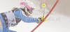 Frida Hansdotter of Sweden skiing in first run of Women slalom race of Audi FIS alpine skiing World Cup in Zagreb, Croatia. Slalom race of Women Audi FIS Alpine skiing World Cup 2010-11, was held on Tuesday, 4th of January 2011, in Sljeme above Zagreb, Croatia.
