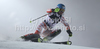 Tanja Poutiainen of Finland skiing in second run of Women slalom race of Audi FIS alpine skiing World Cup in Zagreb, Croatia. Slalom race of Women Audi FIS Alpine skiing World Cup 2010-11, was held on Tuesday, 4th of January 2011, in Sljeme above Zagreb, Croatia.
