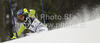 Felix Neureuther of Germany skiing in first run of Men slalom race of Audi FIS alpine skiing World Cup in Zagreb, Croatia. Slalom race of Men Audi FIS Alpine skiing World Cup 2010-11, was held on Thursday, 6th of January 2011, in Sljeme above Zagreb, Croatia.

