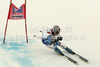 Dominique Gisin of Switzerland skiing in the Women Super G race of FIS Audi Alpine World cup Altenmarkt-Zauchensee in Zauchensee, Austria. Super G race of FIS Audi Alpine World cup in season 2010 / 2011 was held on Sunday, 9th of January 2011 on Kaelberloch race track at Zauchensee, Austria.
