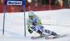 Viktoria Rebensburg of Germany skiing in first run of Women giant slalom race of Audi FIS alpine skiing World Cup in Maribor, Slovenia. Giant slalom race of Women Audi FIS Alpine skiing World Cup 2010-11, was held on Saturday, 15th of January 2011, in Maribor, Slovenia.
