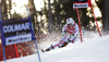 Tessa Worley of France skiing in first run of Women giant slalom race of Audi FIS alpine skiing World Cup in Maribor, Slovenia. Giant slalom race of Women Audi FIS Alpine skiing World Cup 2010-11, was held on Saturday, 15th of January 2011, in Maribor, Slovenia.
