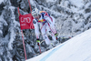 Werner Heel (ITA) speeds down the course competing in the 71st Hahnenkamm downhill race part of  Audi FIS World Cup races in Kitzbuhel Austria.

