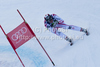 Michael Walchhofer (AUT) speeds down the course competing in the 71st Hahnenkamm downhill race part of  Audi FIS World Cup races in Kitzbuhel Austria.
