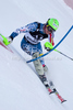 Ted Ligety (USA) attacks a control gate while competing in the slalom race part of  Audi FIS World Cup races in Kitzbuhel Austria.
