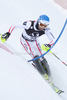 Wolfgang Hoerl (AUT) attacks a control gate while competing in the slalom race part of  Audi FIS World Cup races in Kitzbuhel Austria.
