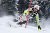 Fritz Dopfer (GER) attacks a control gate while competing in the slalom race part of  Audi FIS World Cup races in Kitzbuhel Austria.
