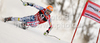 Ted Ligety of USA skiing during first run of Men Giant slalom race of Audi FIS alpine skiing World Cup in Hinterstoder, Austria. Giant slalom race of Men Audi FIS Alpine skiing World Cup 2010-11, was held on Sunday, 6th of February 2011, in Hinterstoder, Austria.
