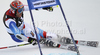 Didier Cuche of Switzerland skiing during first run of Men Giant slalom race of Audi FIS alpine skiing World Cup in Hinterstoder, Austria. Giant slalom race of Men Audi FIS Alpine skiing World Cup 2010-11, was held on Sunday, 6th of February 2011, in Hinterstoder, Austria.
