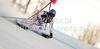 Benjamin Raich of Austria skiing during first run of Men Giant slalom race of Audi FIS alpine skiing World Cup in Hinterstoder, Austria. Giant slalom race of Men Audi FIS Alpine skiing World Cup 2010-11, was held on Sunday, 6th of February 2011, in Hinterstoder, Austria.
