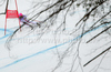 Margot Bailet of France skiing in Women Super-G race of FIS alpine skiing World Championships in Garmisch-Partenkirchen, Germany. Super-G race of Women Super-G race of FIS alpine skiing World Championships, was held on Tuesday, 8th of February 2011, in Garmisch-Partenkirchen, Germany.
