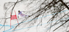 Winner Elisabeth Goergl of Austria skiing in Women Super-G race of FIS alpine skiing World Championships in Garmisch-Partenkirchen, Germany. Super-G race of Women Super-G race of FIS alpine skiing World Championships, was held on Tuesday, 8th of February 2011, in Garmisch-Partenkirchen, Germany.
