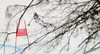 Third placed Maria Riesch of Germany skiing in Women Super-G race of FIS alpine skiing World Championships in Garmisch-Partenkirchen, Germany. Super-G race of Women Super-G race of FIS alpine skiing World Championships, was held on Tuesday, 8th of February 2011, in Garmisch-Partenkirchen, Germany.
