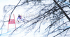 Fourth placed Lara Gut of Switzerland skiing in Women Super-G race of FIS alpine skiing World Championships in Garmisch-Partenkirchen, Germany. Super-G race of Women Super-G race of FIS alpine skiing World Championships, was held on Tuesday, 8th of February 2011, in Garmisch-Partenkirchen, Germany.
