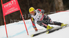 Third placed Ivica Kostelic of Croatia skiing in Men Super-G race of FIS alpine skiing World Championships in Garmisch-Partenkirchen, Germany. Super-G race of Men Super-G race of FIS alpine skiing World Championships, was held on Wednesday, 9th of February 2011, in Garmisch-Partenkirchen, Germany.
