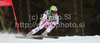 Andrea Fischbacher of Austria skiing in training run for Women downhill race of FIS alpine skiing World Championships in Garmisch-Partenkirchen, Germany. Training run for women downhill race of Men Super-G race of FIS alpine skiing World Championships, was held on Thursday, 10th of February 2011, in Garmisch-Partenkirchen, Germany.
